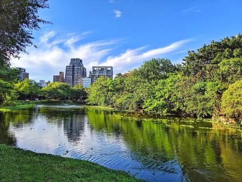 Daan Forest Park
