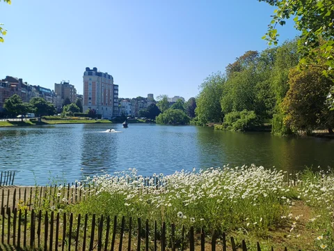 Étangs d'Ixelles
