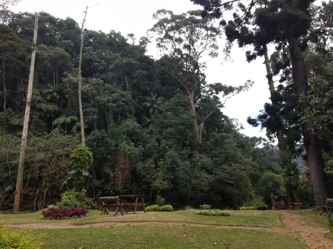 Parque Natural Municipal de Petrópolis