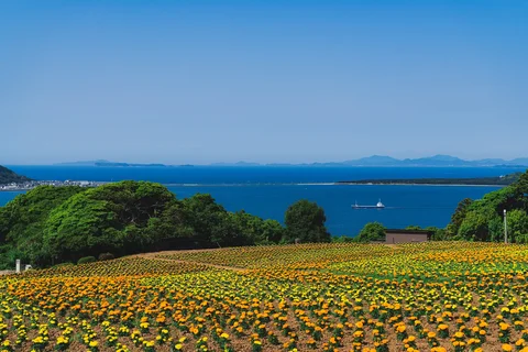 Nokonoshima Island Park