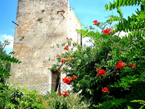 Isola di Sant'Erasmo
