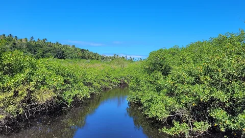 Rio Trancoso