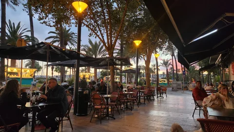 Restaurante Ecovinyet Palma