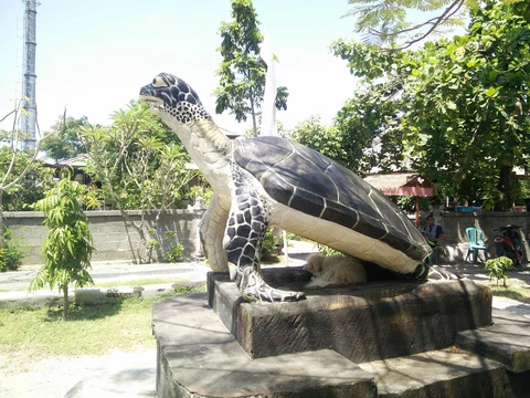 Turtle Conservation and Education Center