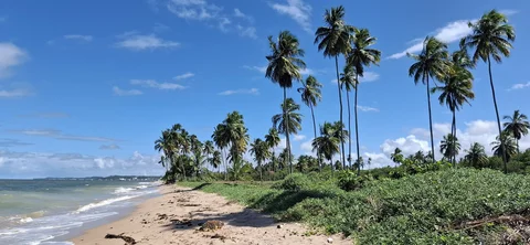 Praia de Barra Grande