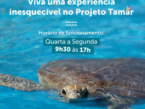 Projeto Tamar Florianópolis