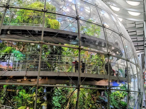 California Academy of Sciences