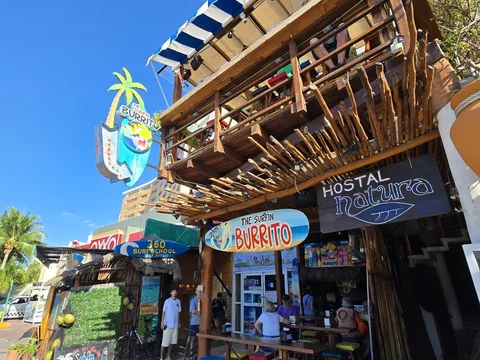 Surfin Burrito