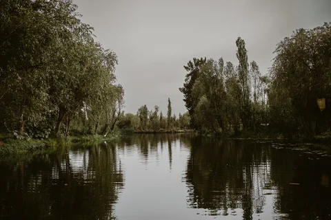 Arca Tierra Xochimilco