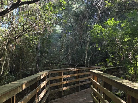 Parque Estadual do Rio Vermelho