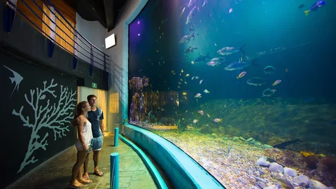 Acuario Interactivo Cancun