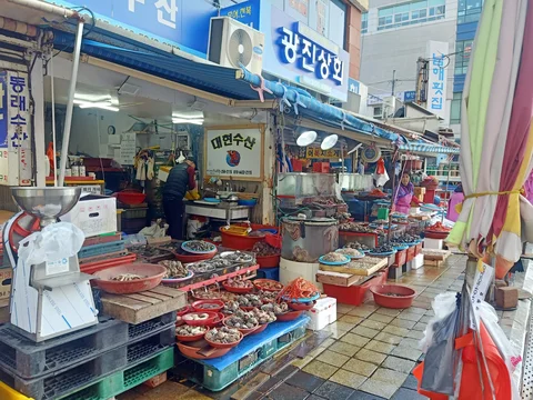 Jagalchi Market
