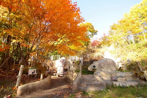Takino Suzuran Hillside National Park