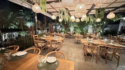 Mundo Selvagem Café Bistro