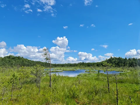 Varnikų pažintinis takas