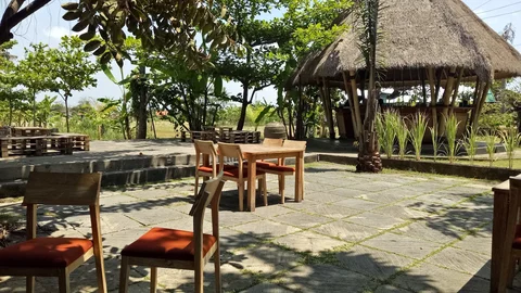 Warung D'Sawah Kertalangu