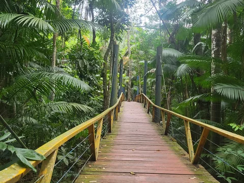 Parque Municipal do Mindu
