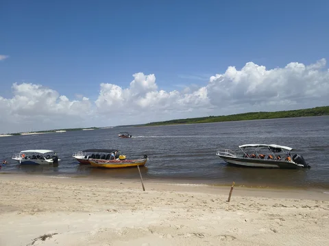 Vassouras Pequenos Lencois