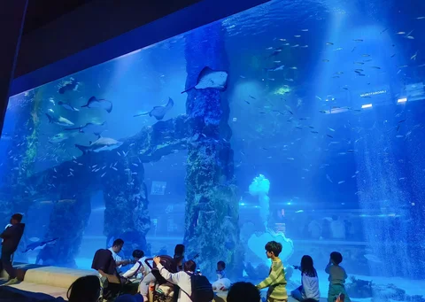 Lotte World Aquarium