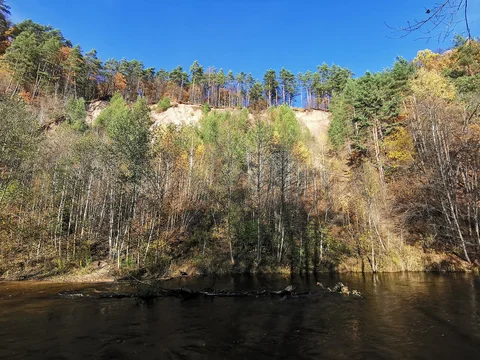 Pūčkorių pažintinis takas