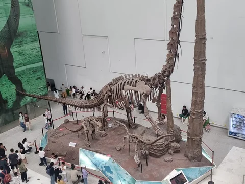 China Science and Technology Museum
