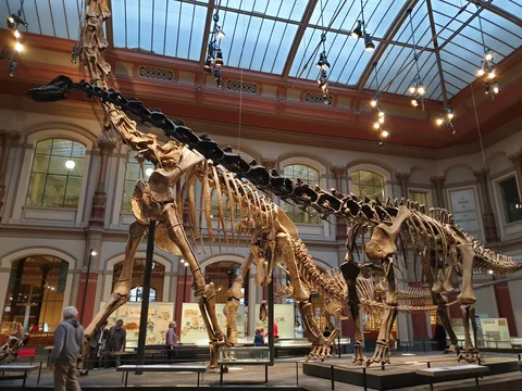 Museum fuer Naturkunde