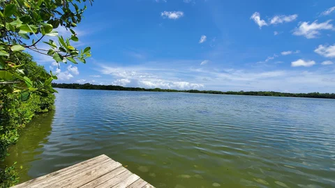 Refugio de Vida Silvestre Laguna Bavaro