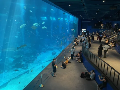 S.E.A. Aquarium