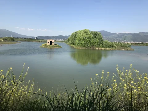 Oasi WWF Stagni di Focognano