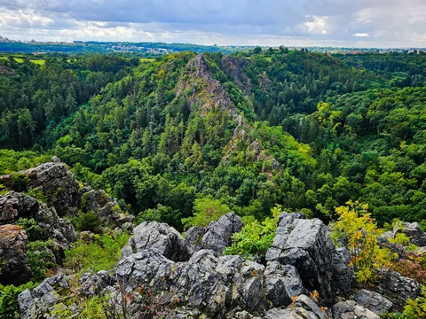 Přírodní rezervace Divoká Šárka