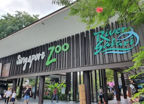 Singapore Zoo