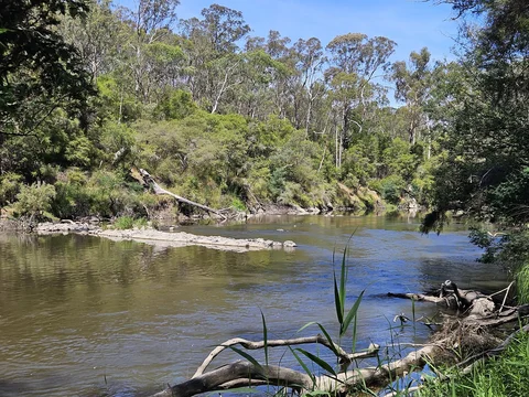 Jumping Creek Reserve