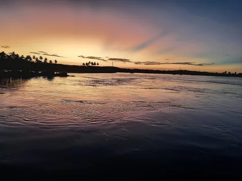 Passeio de Jangada no Mangue de Maracaípe