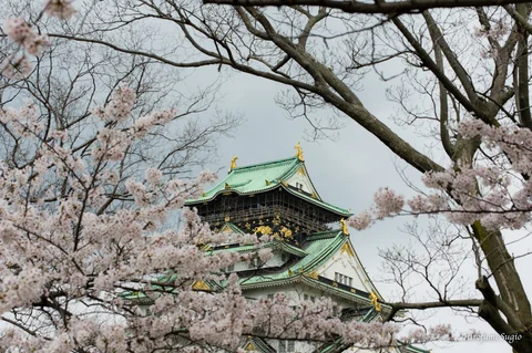 Nishinomaru Garden