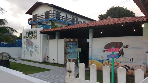 Projeto Hippocampus