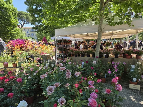 Giardino dell Orticoltura