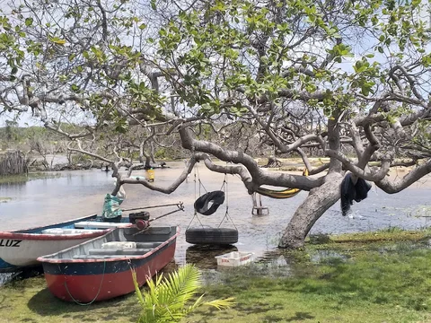 Povoado Cardosa