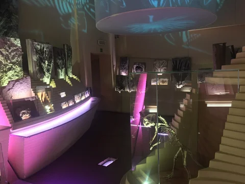 Museo di Storia Naturale di Venezia