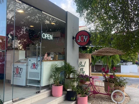 Joy Nutritional Pop Craft