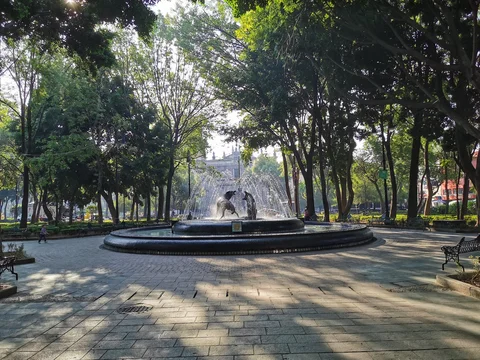 Jardin Centenario