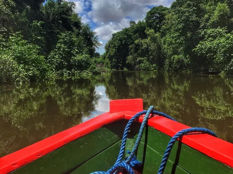 Passeio de Caiaque no Estuário do Rio Cocó