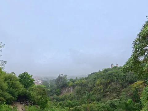 Horto dos Contos