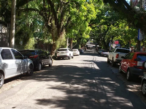 Rua Dinarte Ribeiro