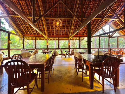 Gato Gordo