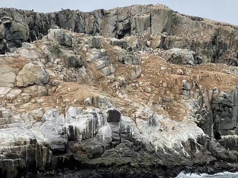 Islas Palomino