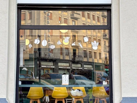 Crazy Cat Cafe
