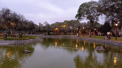 Bosque El Olivar