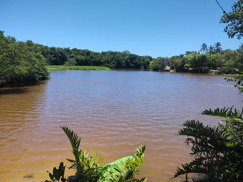 Reserva Ecologica de Sapiranga