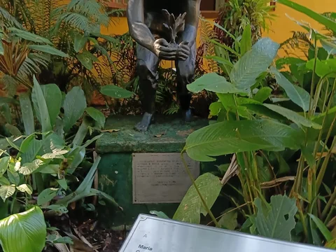 Centro de Visitantes do Parque Nacional da Tijuca