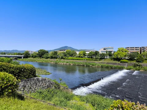 Kamogawa Riverbank